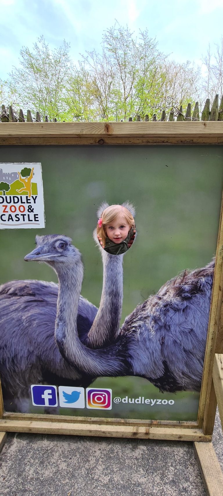 Dudley Zoo & Castle – Nasza Relacja i Przewodnik po Zamku oraz Zoo