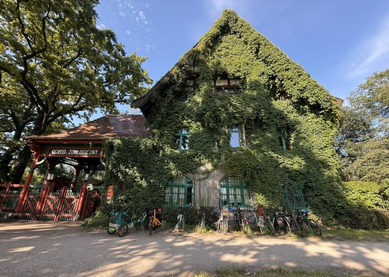 Wrocławskie ZOO – atrakcje, Afrykarium i porady dla rodzin